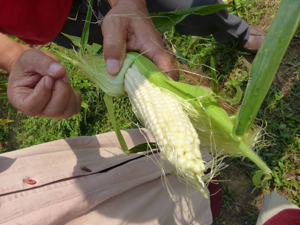 10359909_734592713253856_100558973057681685_n