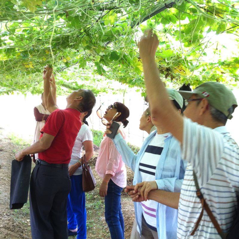 10501932_735019139877880_1667903188836033500_n