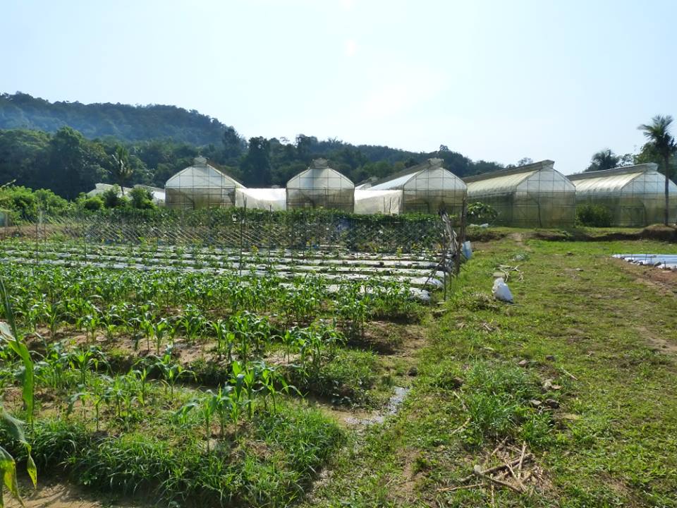 10616556_734592809920513_3409708889834075192_n