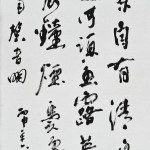 X17煮茶自有清泉水