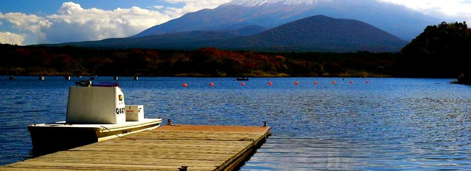 依法的人，心無忐忑