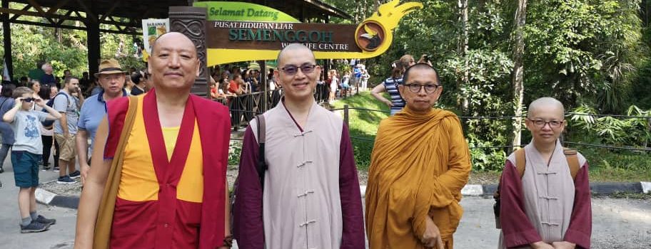 2019年8月5日(一)參訪古晉的Semenggoh 野生動物康復中心(Semenggoh Wildlife Rehabilitation Centre)。