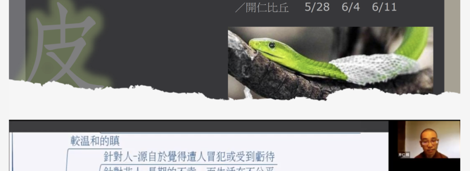 蛻舊皮,脫舊業!  ——《蛇經》_僧伽教育網路課程心得分享_釋湛遠