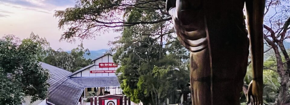 身心寂靜_方丈甲辰新春開示