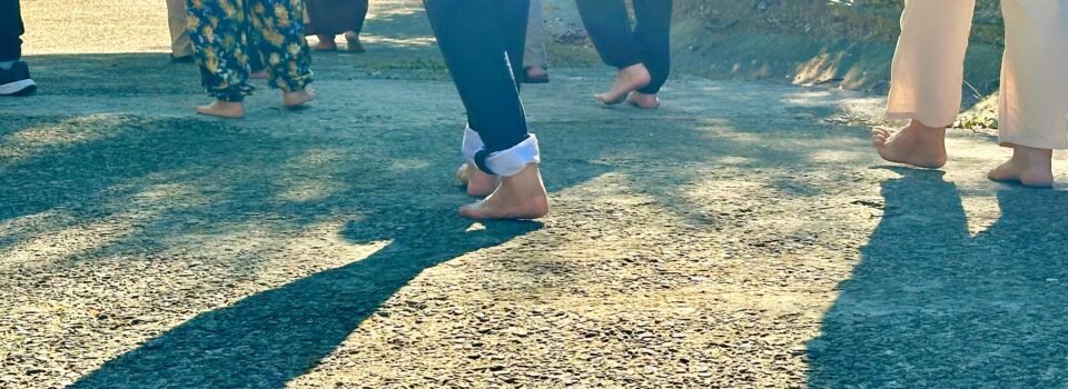 心得分享-2024年 吉祥禪三_吴榕畛