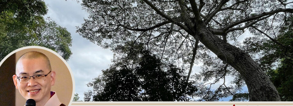 苦集滅道的滅 _方丈札記03