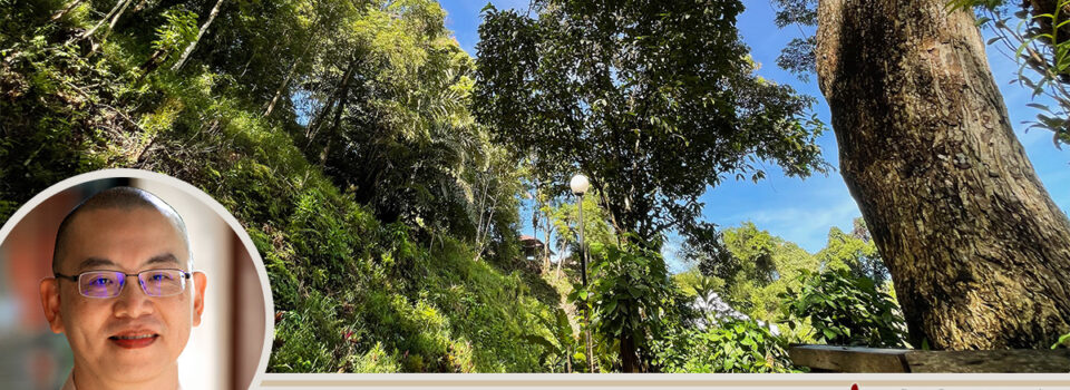 佛法也能療治身苦_方丈札記05