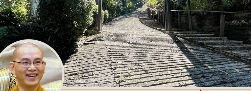 雲淡風清的自然感動 _方丈札記17